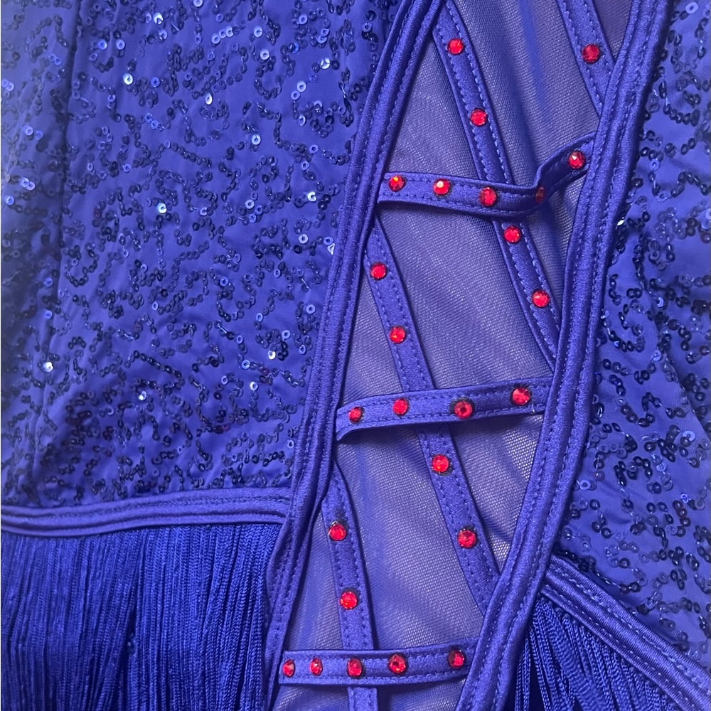 Weissman Dance Costume - image 2